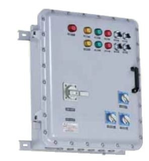 ক্লাস 1 বিভাগ 1 বিস্ফোরণ প্রমাণ জংশন বক্স ABS