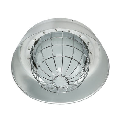 ময়দা এবং সূক্ষ্ম কণা উৎপাদনের জন্য IP66 LED ফুড লাইট