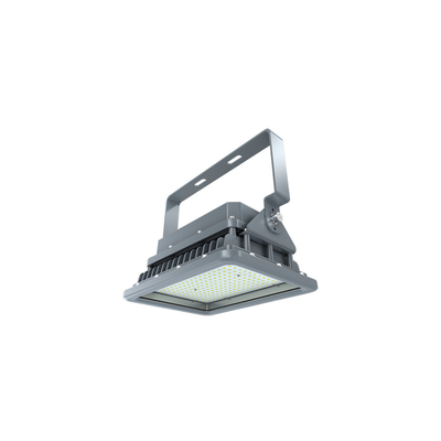 250W 300W 400W ইন্ডাস্ট্রিয়াল এক্সপ্লোশন প্রুফ লাইট 100W 150W 180W 200W