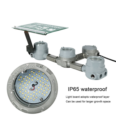 3-6W বিস্ফোরণ প্রমাণ LED প্রস্থান জরুরী হালকা রাসায়নিক শিল্প IP66 জলরোধী গ্যাস স্টেশন