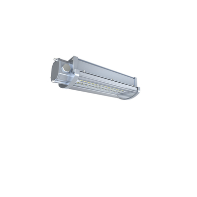10-100W IP66 ওয়াটারপ্রুফ লিনিয়ার এক্সপ্লোশন প্রুফ LED লাইট