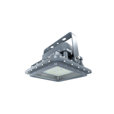 LED এক্সপ্লোশন প্রুফ ইন্ডাস্ট্রিয়াল লাইট IP66 ওয়াটারপ্রুফ Ik10 অ্যালুমিনিয়াম হাউজিং স্টেইনলেস স্টীল মাউন্টিং বন্ধনী D সিরিজ
