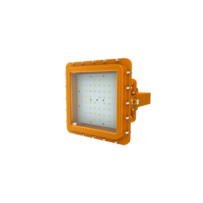 LED এক্সপ্লোশন প্রুফ ইন্ডাস্ট্রিয়াল লাইট IP66 ওয়াটারপ্রুফ Ik10 অ্যালুমিনিয়াম হাউজিং স্টেইনলেস স্টীল মাউন্টিং বন্ধনী D সিরিজ
